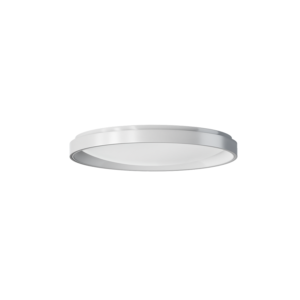 Ceiling Light T1M
