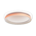 Ceiling Light T1M