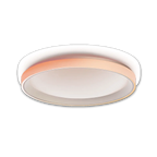 Ceiling Light T1M
