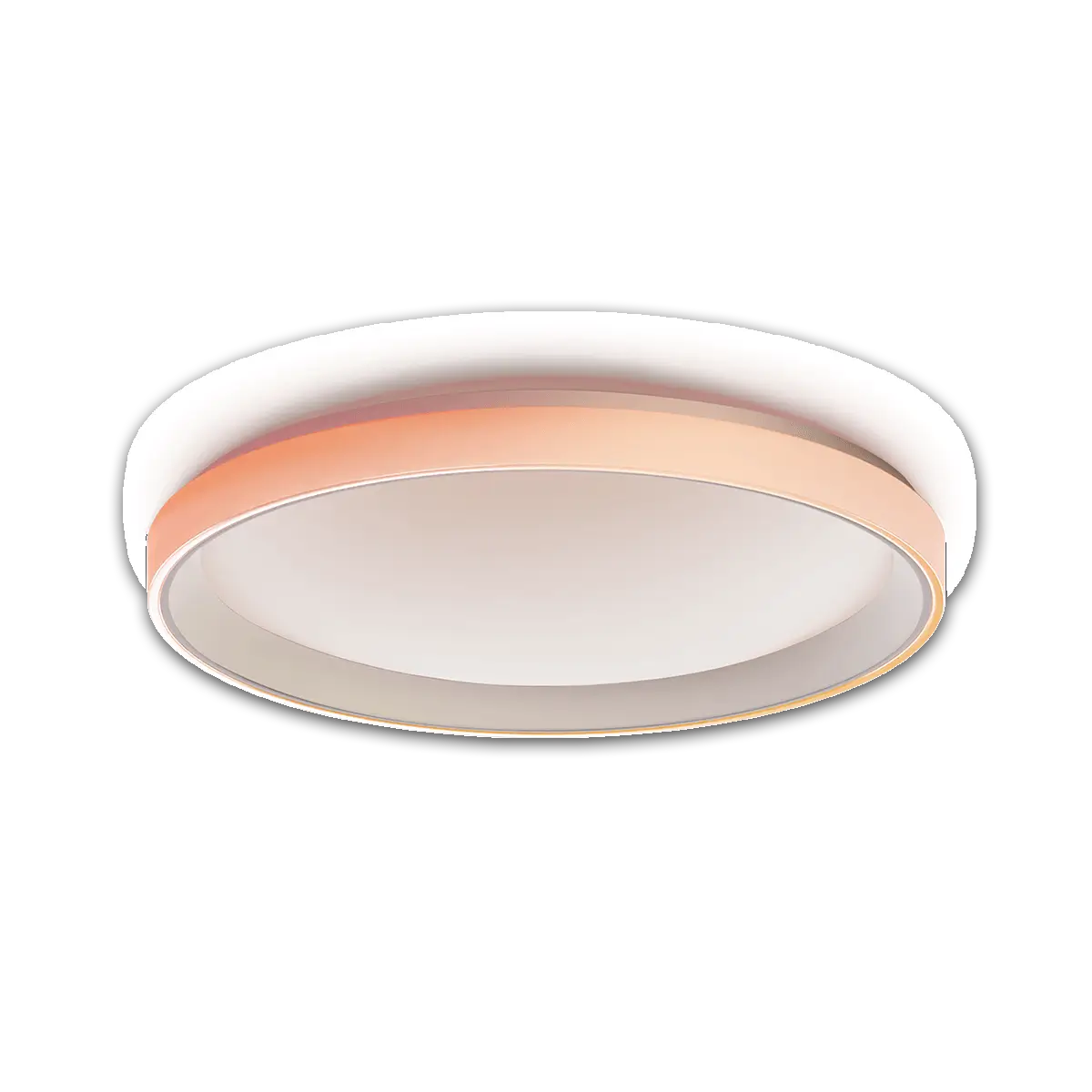 Ceiling Light T1M