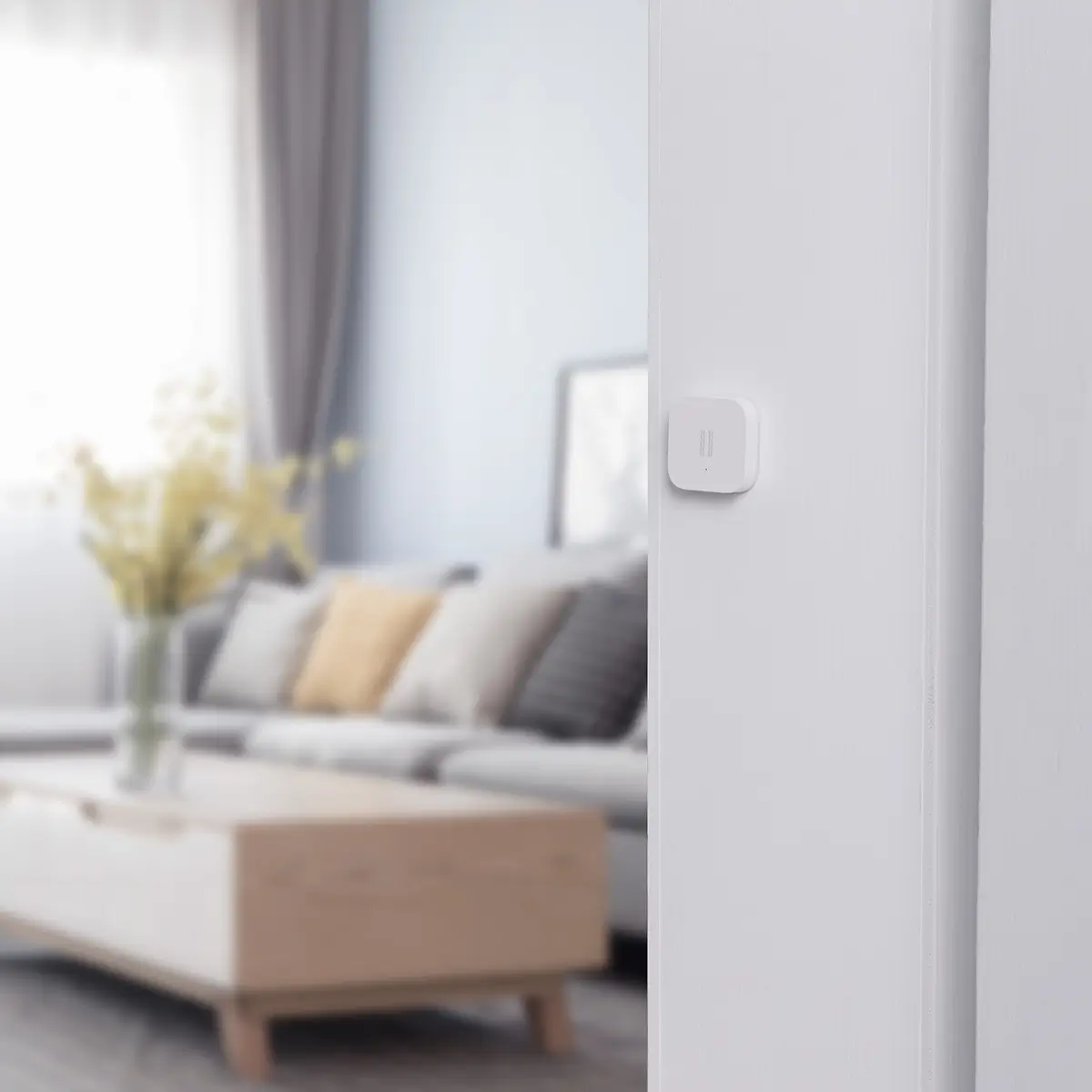 Vibration Sensor