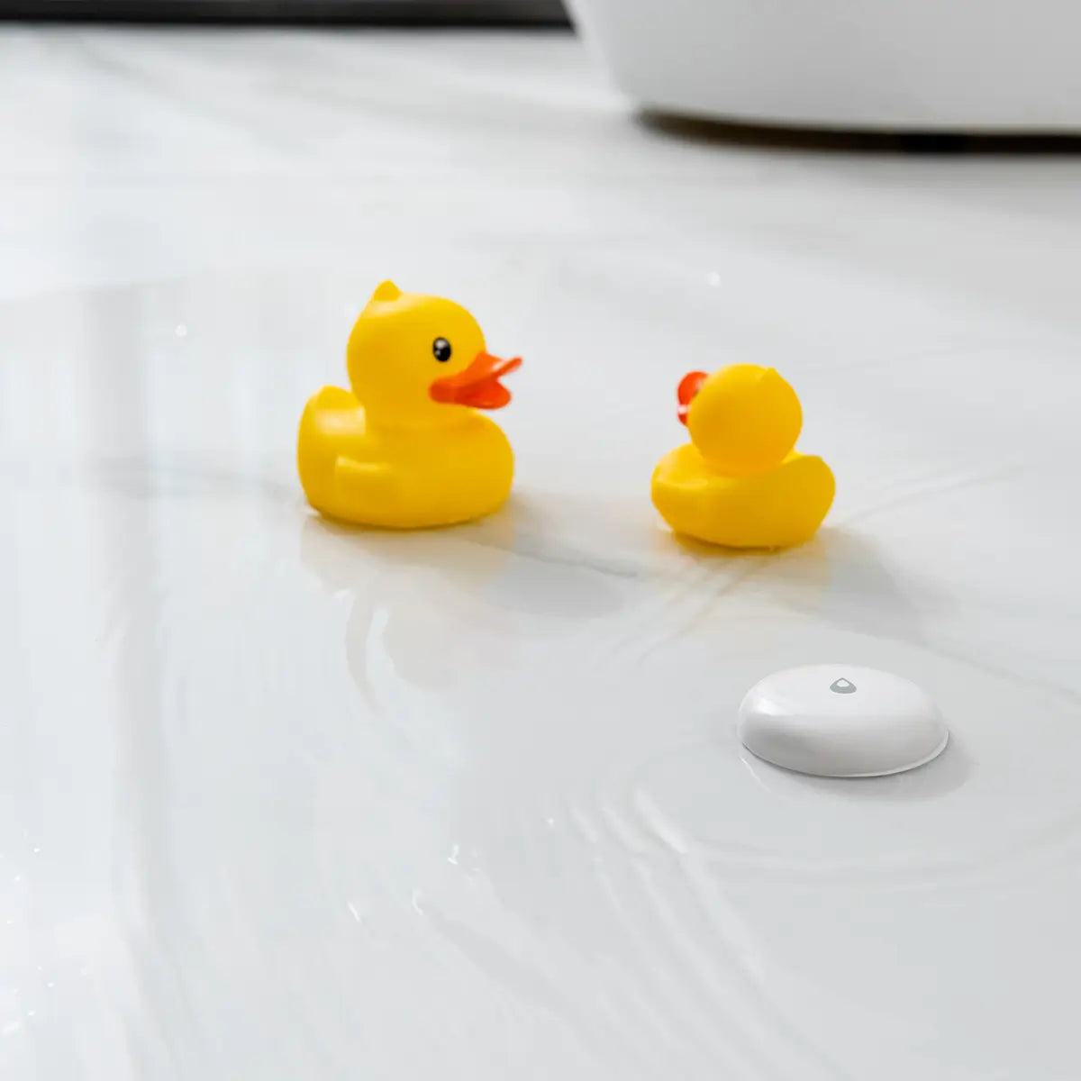 Water Leak Sensor